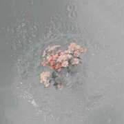 ヒメ日記 2025/02/17 10:12 投稿 さき CLASSY.東京・錦糸町店