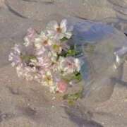 ヒメ日記 2025/05/06 12:27 投稿 さき CLASSY.東京・錦糸町店