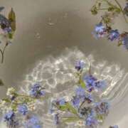 ヒメ日記 2025/06/14 12:20 投稿 さき CLASSY.東京・錦糸町店