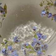 ヒメ日記 2025/09/02 16:32 投稿 さき CLASSY.東京・錦糸町店