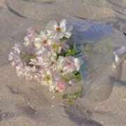 ヒメ日記 2025/09/02 16:42 投稿 さき CLASSY.東京・錦糸町店