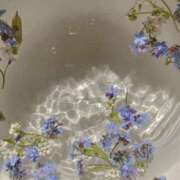 ヒメ日記 2025/12/06 00:52 投稿 さき CLASSY.東京・錦糸町店