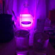 ヒメ日記 2024/12/12 23:14 投稿 なぎ あふたーすくーる本店