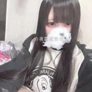 ひめの います🐱💕 マリン千姫