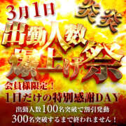 なぎさ 3月1日開催です♡♡♡♡ 奥鉄オクテツ兵庫