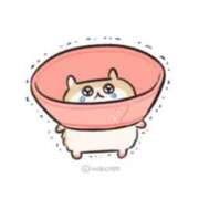 ヒメ日記 2025/02/16 12:05 投稿 まゆ 茨城神栖ちゃんこ