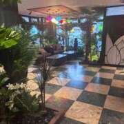 ヒメ日記 2025/03/30 08:30 投稿 まゆ 茨城神栖ちゃんこ