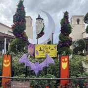 ヒメ日記 2025/09/20 18:26 投稿 まゆ 茨城神栖ちゃんこ