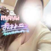 ヒメ日記 2026/03/19 08:02 投稿 まゆ 茨城神栖ちゃんこ