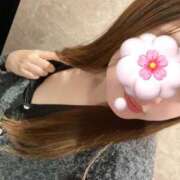 ヒメ日記 2025/02/05 12:41 投稿 りお ベイビーモコ