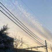 ヒメ日記 2025/02/19 14:57 投稿 りお ベイビーモコ