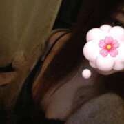 ヒメ日記 2025/03/26 13:33 投稿 りお ベイビーモコ