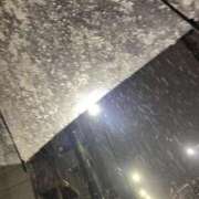 ヒメ日記 2025/04/02 19:27 投稿 りお ベイビーモコ