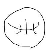 ヒメ日記 2025/04/02 20:07 投稿 りお ベイビーモコ