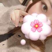 ヒメ日記 2025/04/07 13:14 投稿 りお ベイビーモコ