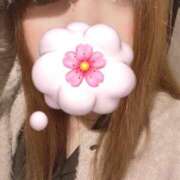 ヒメ日記 2025/04/08 15:00 投稿 りお ベイビーモコ