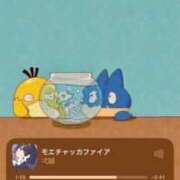 ヒメ日記 2025/04/09 19:00 投稿 りお ベイビーモコ