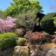 ヒメ日記 2025/04/14 19:30 投稿 りお ベイビーモコ