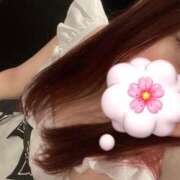 ヒメ日記 2025/06/04 15:00 投稿 りお ベイビーモコ