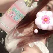 ヒメ日記 2025/06/06 15:39 投稿 りお ベイビーモコ