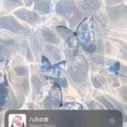 ヒメ日記 2025/06/09 16:01 投稿 りお ベイビーモコ