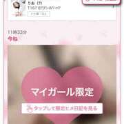 ヒメ日記 2025/06/10 11:37 投稿 りお ベイビーモコ