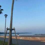 ヒメ日記 2025/06/13 08:00 投稿 りお ベイビーモコ