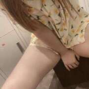 ヒメ日記 2025/06/27 16:00 投稿 りお ベイビーモコ