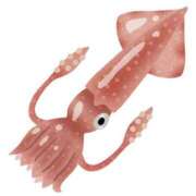 ヒメ日記 2025/07/03 11:00 投稿 りお ベイビーモコ