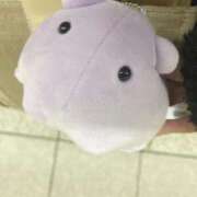 ヒメ日記 2025/07/14 21:06 投稿 りお ベイビーモコ