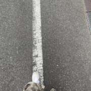 ヒメ日記 2025/07/19 18:00 投稿 りお ベイビーモコ