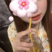 ヒメ日記 2025/08/01 12:40 投稿 りお ベイビーモコ