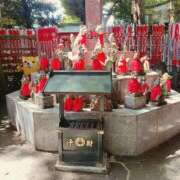 ヒメ日記 2025/08/01 18:03 投稿 りお ベイビーモコ