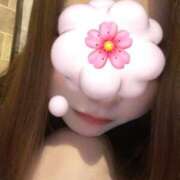 ヒメ日記 2025/08/15 19:50 投稿 りお ベイビーモコ