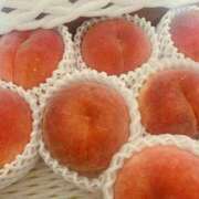 ヒメ日記 2025/09/18 14:00 投稿 りお ベイビーモコ