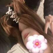 ヒメ日記 2025/10/16 08:48 投稿 りお ベイビーモコ