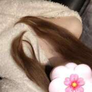 ヒメ日記 2025/11/05 13:21 投稿 りお ベイビーモコ