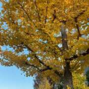 ヒメ日記 2025/12/02 15:02 投稿 りお ベイビーモコ