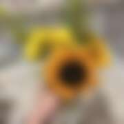 ヒメ日記 2026/07/18 21:00 投稿 りお ベイビーモコ