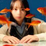 ヒメ日記 2025/12/16 17:25 投稿 しお♪ プリティーガール