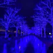 ヒメ日記 2025/01/07 11:05 投稿 すみれ 大和人妻城