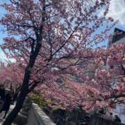 ヒメ日記 2025/02/18 12:07 投稿 すみれ 大和人妻城