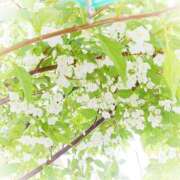 ヒメ日記 2025/09/28 18:58 投稿 すみれ 大和人妻城