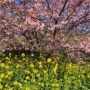 ヒメ日記 2026/02/16 15:42 投稿 すみれ 大和人妻城