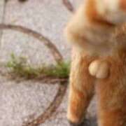 ヒメ日記 2026/04/18 18:18 投稿 すみれ 大和人妻城