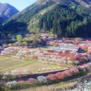 ヒメ日記 2026/04/20 11:09 投稿 すみれ 大和人妻城