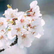 ゆきな 【🌸🌸🌸】 ドリーム水戸