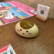 ヒメ日記 2024/11/15 15:03 投稿 かなめ 新宿ハンドメイド