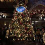 ヒメ日記 2024/12/25 13:02 投稿 かなめ 新宿ハンドメイド