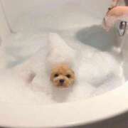 ヒメ日記 2025/03/05 21:49 投稿 かなめ 新宿ハンドメイド